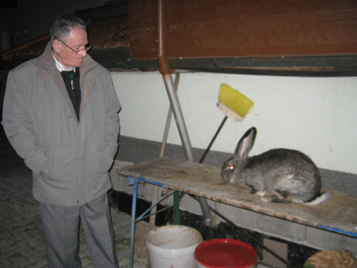 domn-Papp Ernest la holl