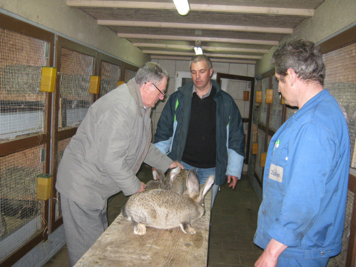 albitraj international