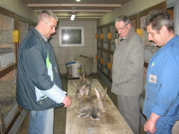 ai plac si lui Florin