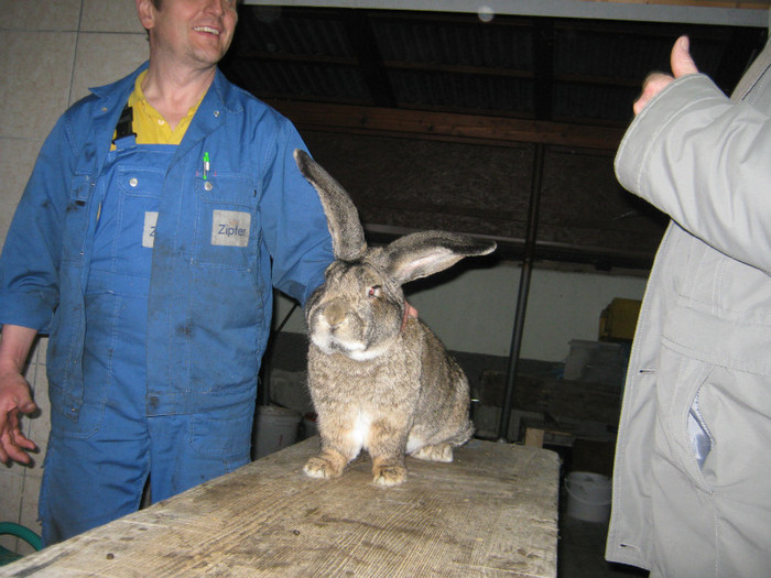 un fost campion la 3 ani