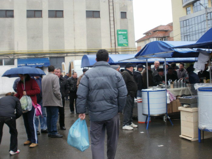 P3060317 - Targul Apicol Slobozia 2012