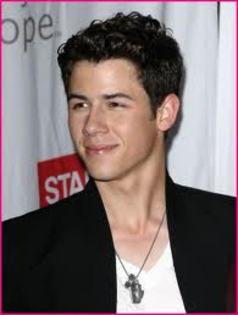 Nick Jonas as Max Henrie - The Famous Girl 2