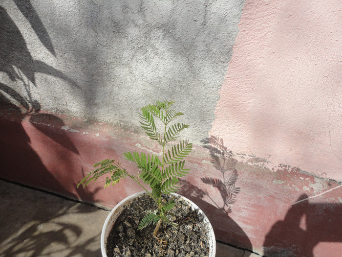 Din toate mi-a mai ramas asta2012