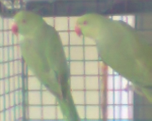 fotogr.0114 - micu alx