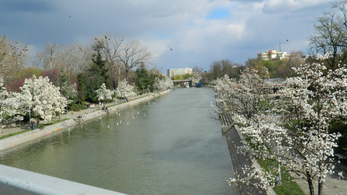 DSCN1177 - TIMISOARA 2012