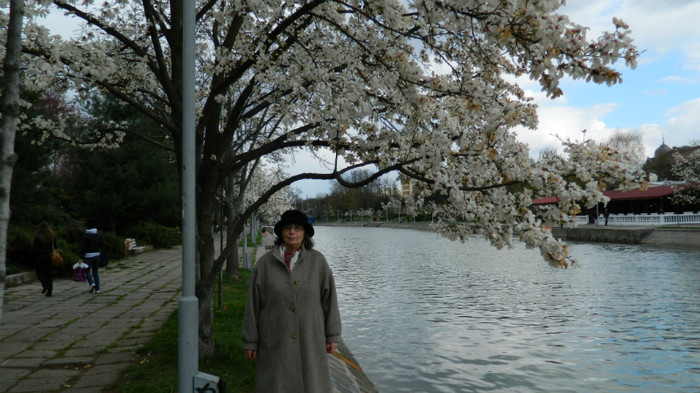 DSCN1204 - TIMISOARA 2012