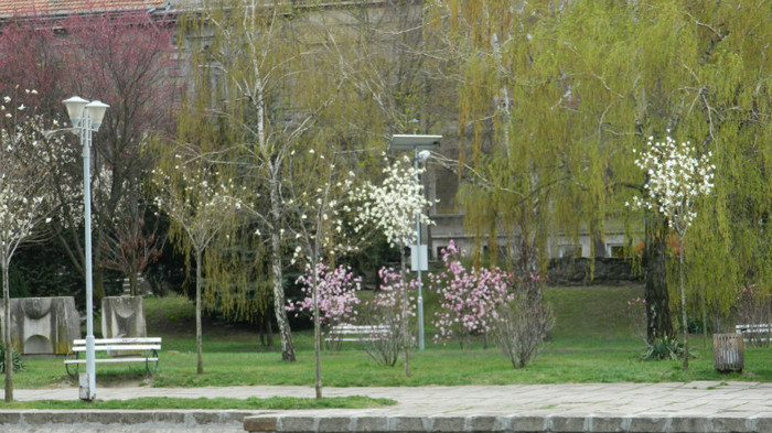 DSCN1210 - TIMISOARA 2012