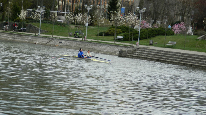 DSCN1216 - TIMISOARA 2012