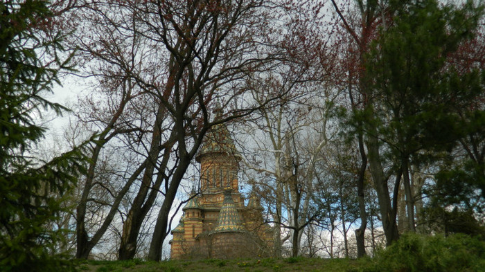 DSCN1219 - TIMISOARA 2012