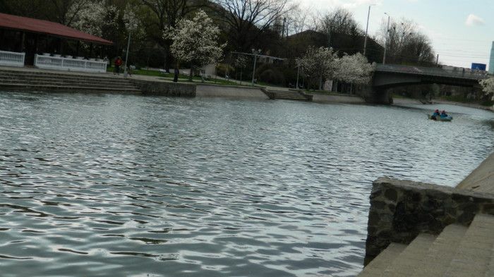 DSCN1220 - TIMISOARA 2012