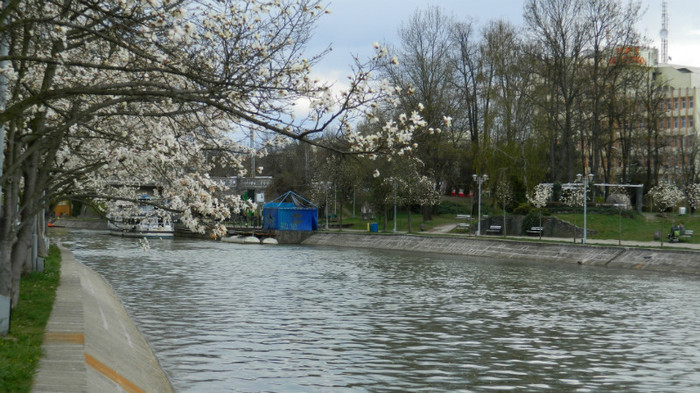 DSCN1221 - TIMISOARA 2012