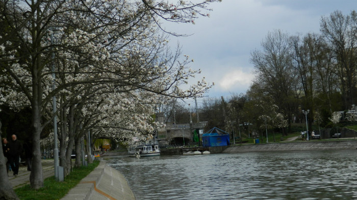 DSCN1224 - TIMISOARA 2012