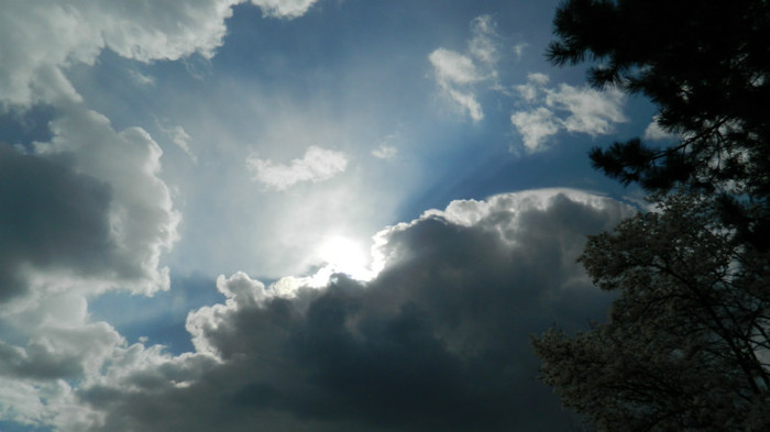 DSCN1240 - TIMISOARA 2012