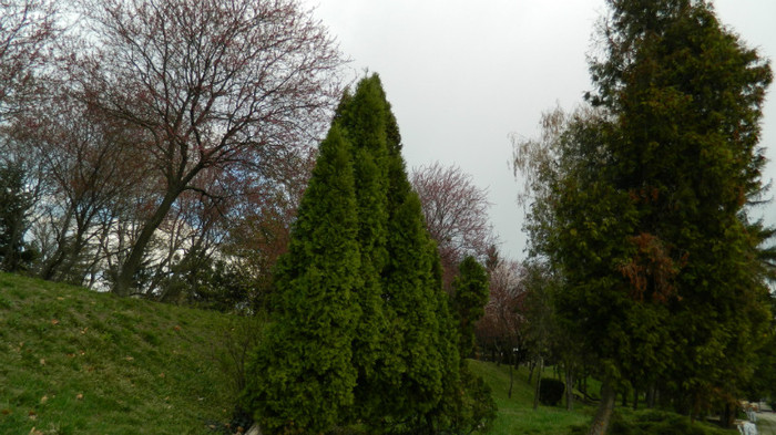 DSCN1244 - TIMISOARA 2012