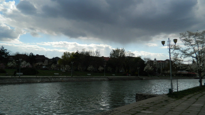 DSCN1249 - TIMISOARA 2012