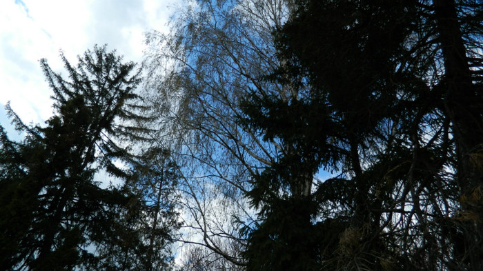 DSCN1253 - TIMISOARA 2012