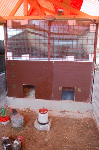 finalizare_voliera_30_martie_2012_ (12) - Voliere-cotete-padoc