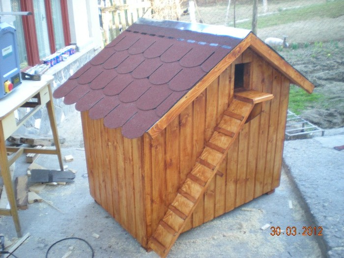 DSCN4235