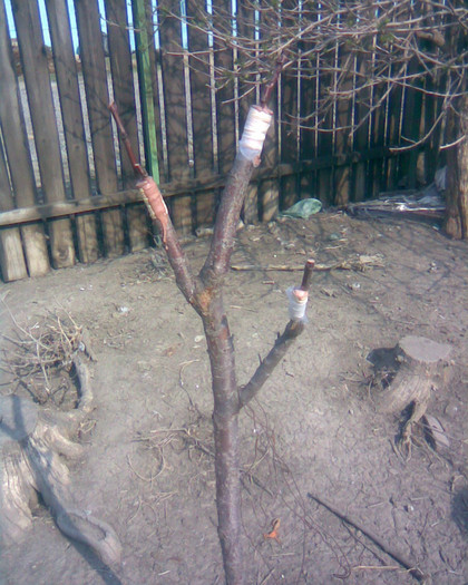 Stanley - altoiri 2012