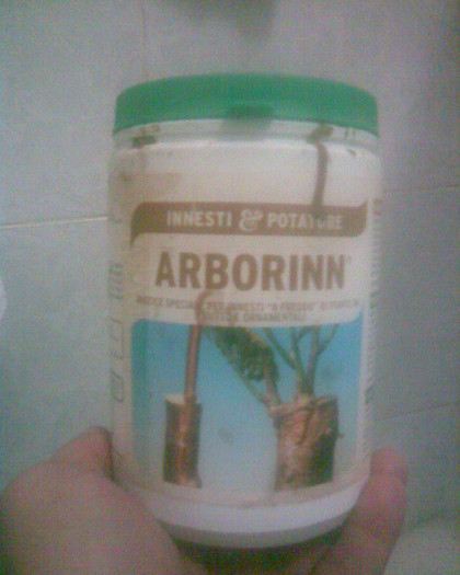 Arborin - scule