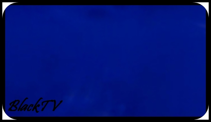 In masina nimeni nu spunea nimic.