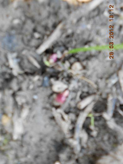 DSCN1555