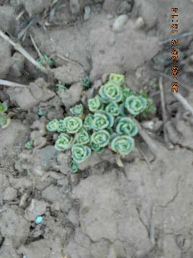 DSCN1559