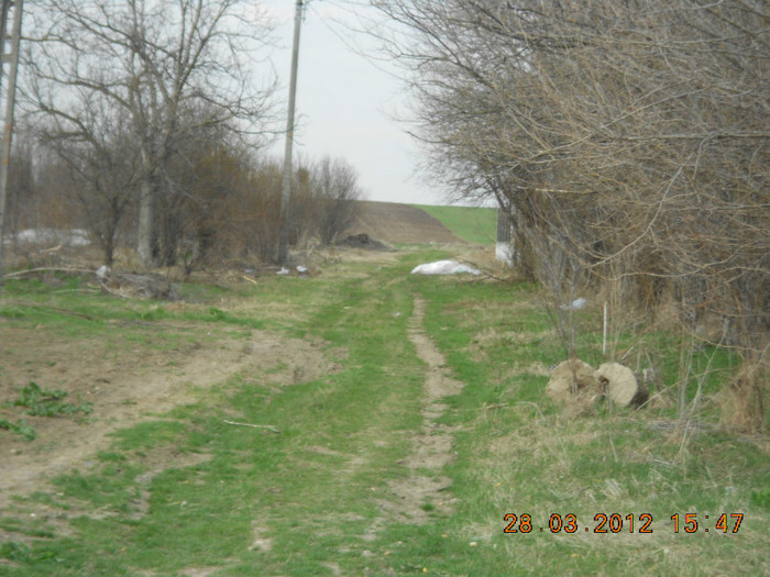 DSCN1615