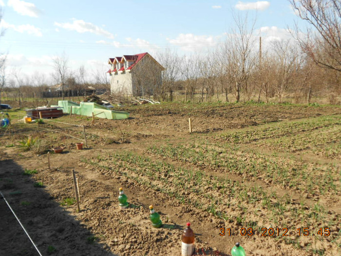 din gradina spre casa - 3-Martie