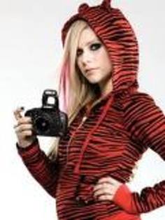 image___753