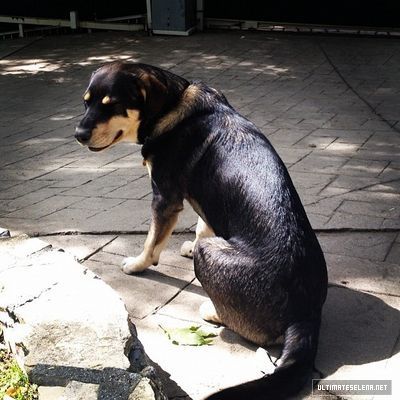 normal_2012-04-02_501ed5607d4111e181bd12313817987b_7 - Instagram
