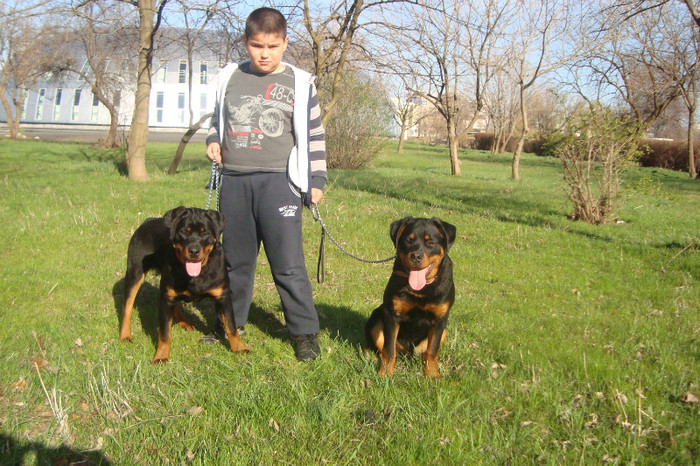 DSC02946 - rottweileri - 6 luni