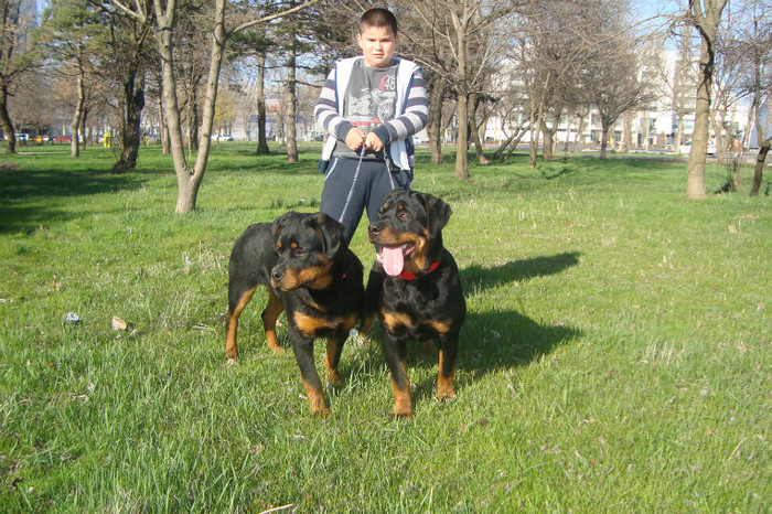 DSC02948 - rottweileri - 6 luni