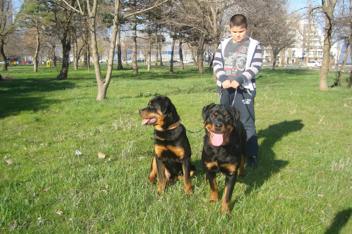 DSC02957 - rottweileri - 6 luni