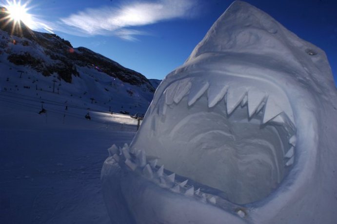snow-shark-sculptures