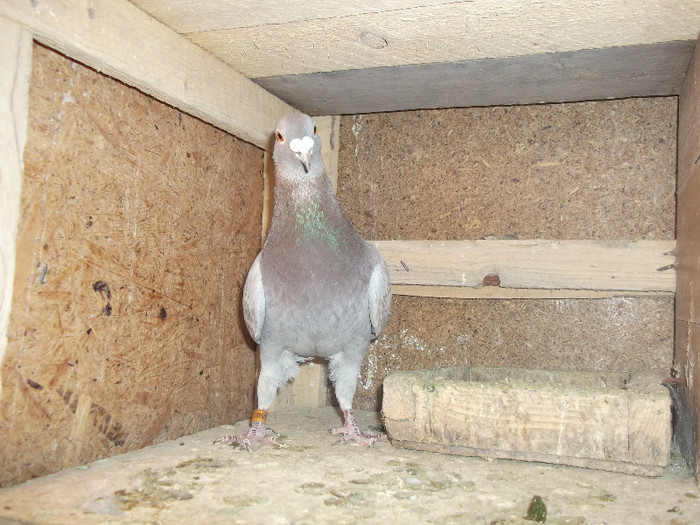 DSCF0472