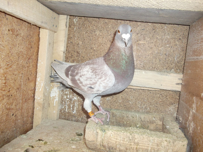 DSCF0473