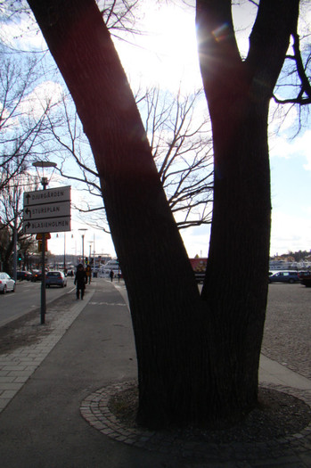 DSC07333 - Stockholm