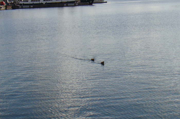 DSC07354 - Stockholm