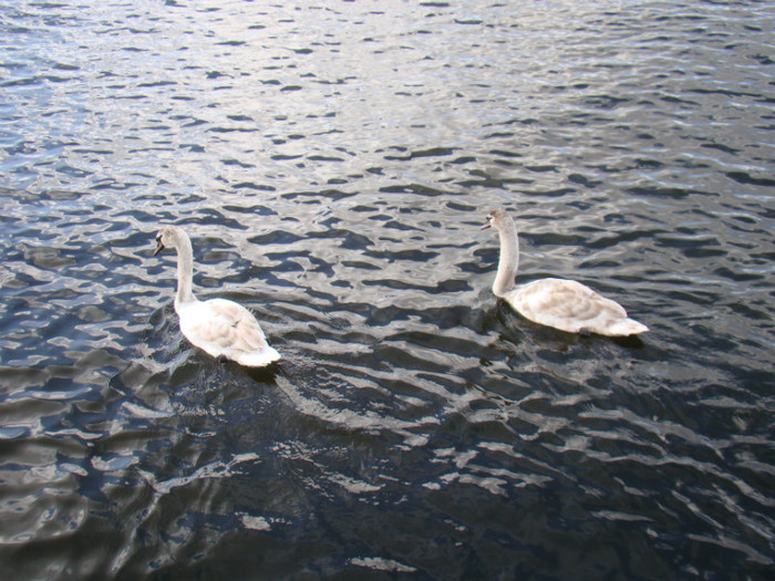 DSC07469 - Stockholm