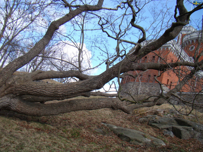 DSC07492 - Stockholm