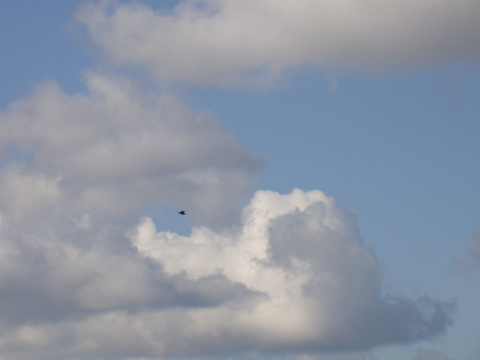 DSC07520 - Stockholm