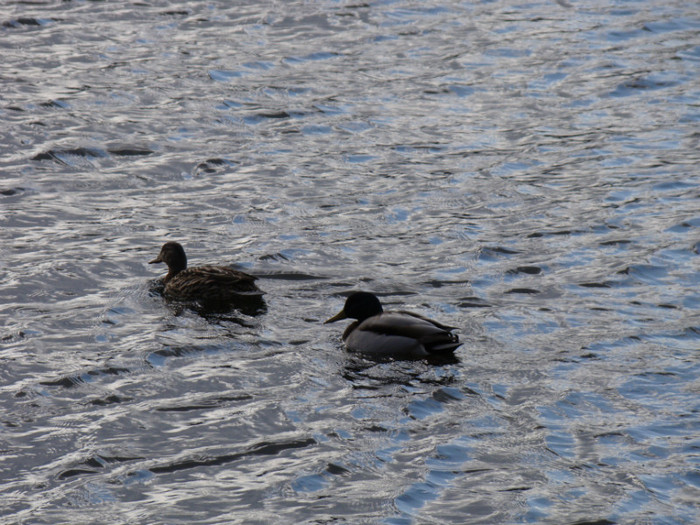 DSC07521 - Stockholm