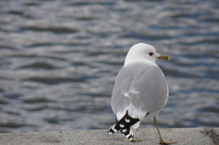 DSC07552 - Stockholm