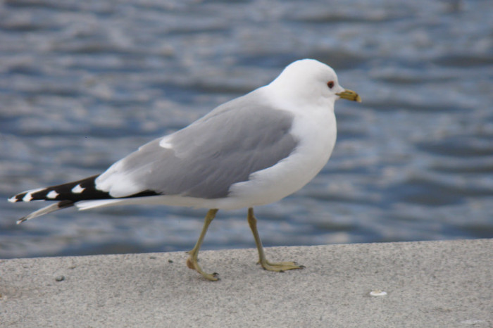 DSC07554 - Stockholm