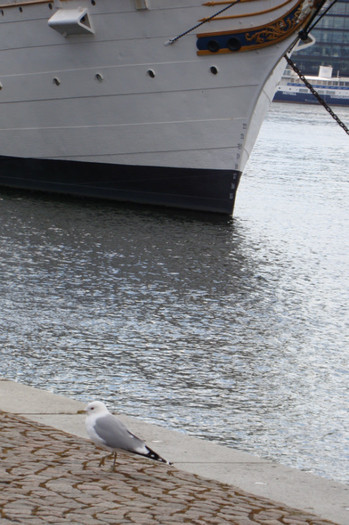 DSC07555 - Stockholm