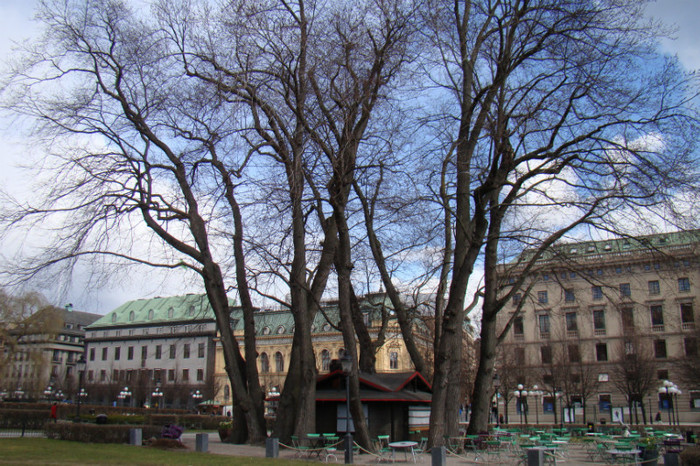 DSC07599 - Stockholm