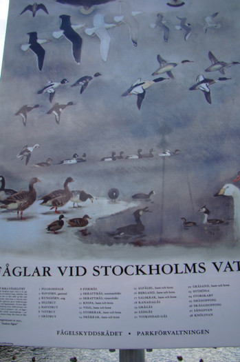 DSC07656 - Stockholm