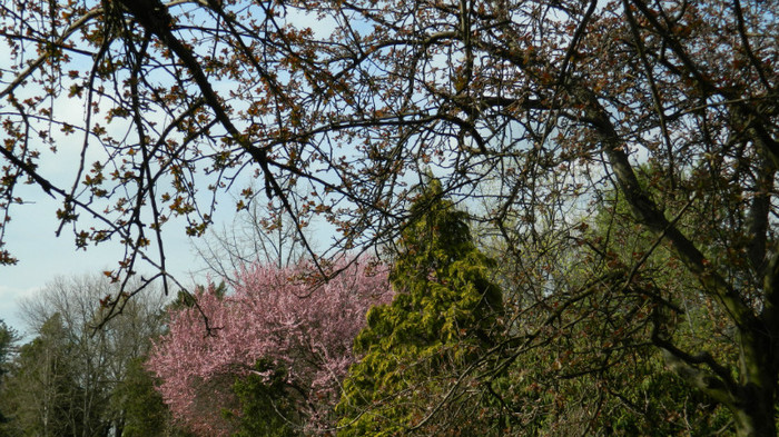 DSCN1407
