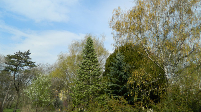 DSCN1408